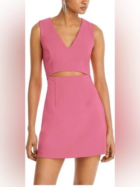 VICI Endless Rose V-Neck Mini Dress Hot Pink